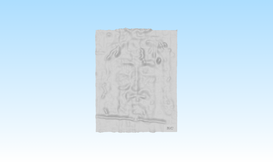 3D-Printed Shroud Face - 8" x 10" - White ABS (Paintable)