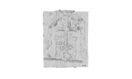 3D-Printed Shroud Face - 4" x 5"